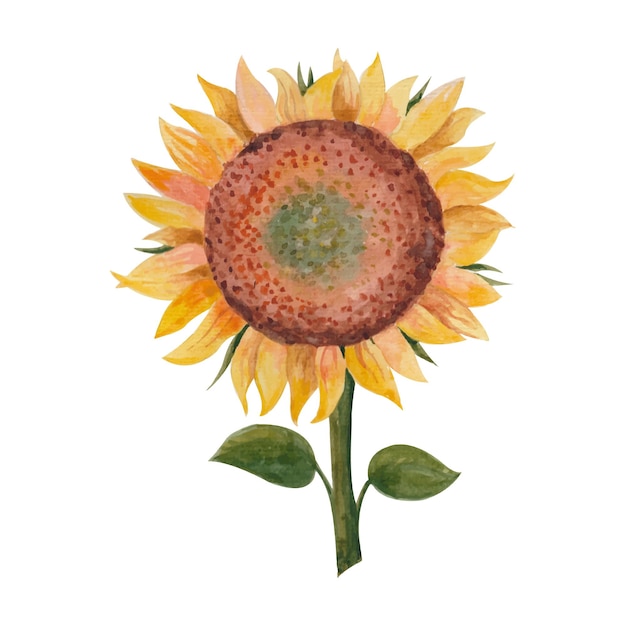 Ilustración acuarela brillante con un girasol