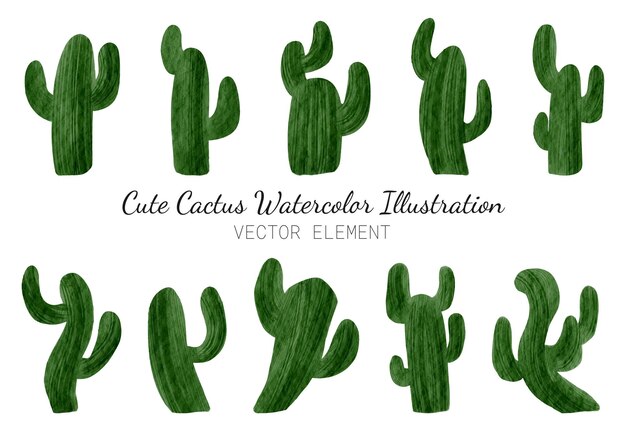 Ilustración de acuarela de cactus muy bonita aislada