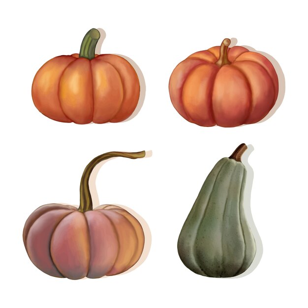 Ilustración acuarela de calabaza