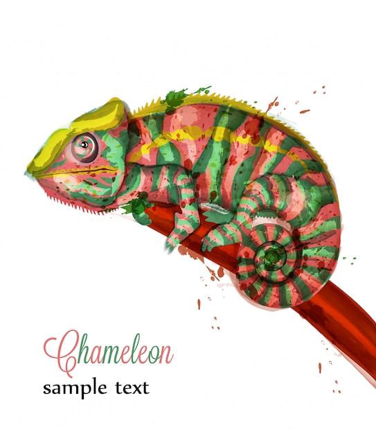 Ilustración acuarela Camaleón