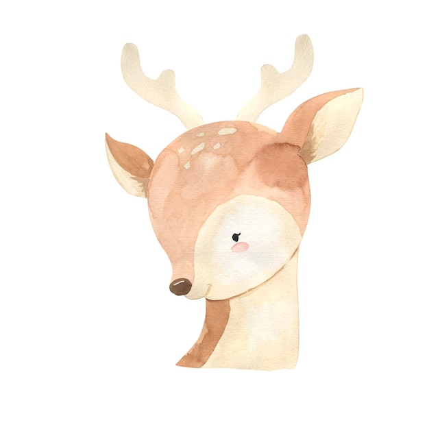 Ilustración de acuarela de ciervo para niños