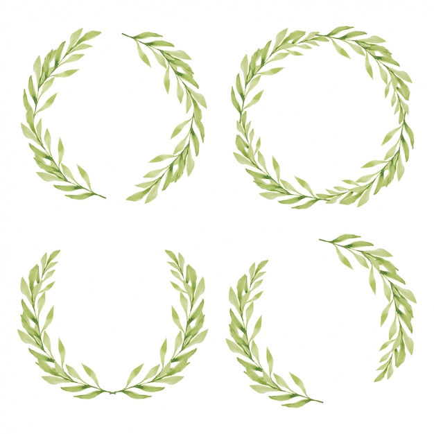 Vector ilustración acuarela de colección de marco de círculo de hoja verde