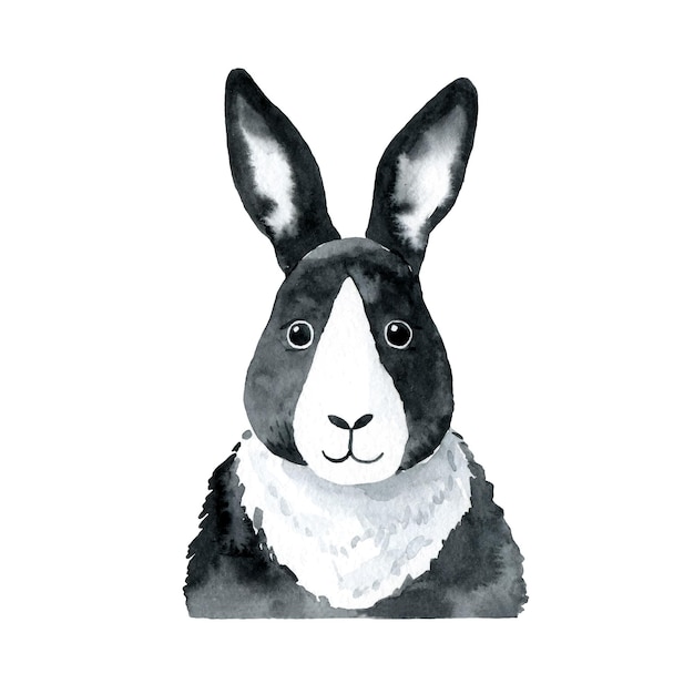 Ilustración de acuarela de conejo aislado sobre fondo blanco Clipart de vector de conejito dibujado a mano