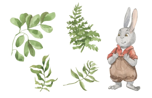 Ilustración acuarela de un conejo vestido, ramas de vegetación.