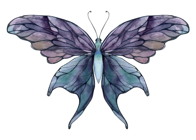 Ilustración de acuarela dibujada a mano alas de hadas de mariposa cristal de gema polilla de insecto ametista charoita fluorita ametrina objeto único aislado en fondo blanco diseño imprenta boda cumpleaños