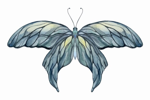 Vector ilustración de acuarela dibujada a mano alas de hadas mariposa gemas cristales insectos polilla ámbar granate piedra solar ágata rubí objeto único aislado en fondo blanco diseño imprenta boda cumpleaños