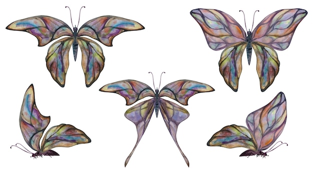 Ilustración de acuarela dibujada a mano alas de hadas mariposa gemas insectos cristales polilla turmalina perla labradorita ópalo conjunto de objetos aislados sobre fondo blanco diseño imprenta boda cumpleaños