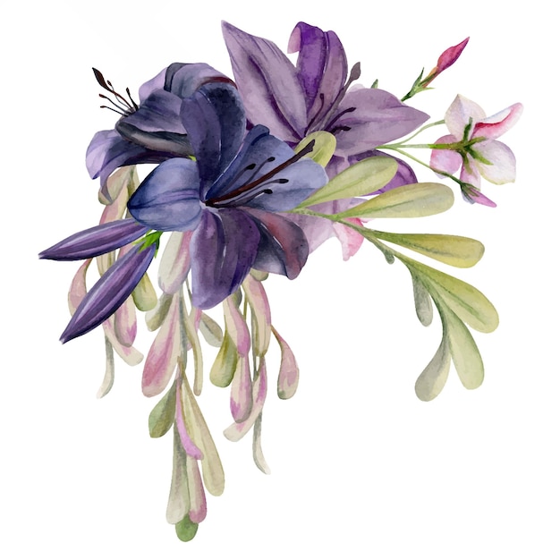 Ilustración de acuarela dibujada a mano flores botánicas hojas de lirio clivia amaryllis langosta ceniza arce