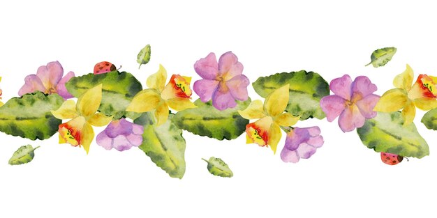 Ilustración de acuarela dibujada a mano jardinería de primavera cama de flores primula hojas mariposa planta de la naturaleza