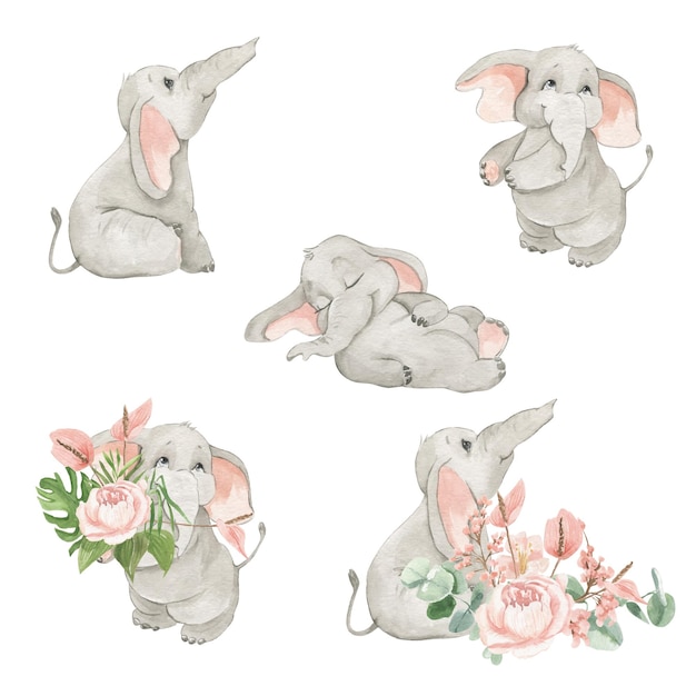 Ilustración acuarela de elefante bebé en diferentes poses con flores de peonías hojas tropicales