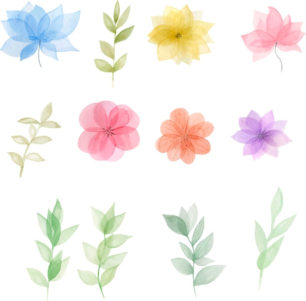 Ilustración acuarela de floral transparente