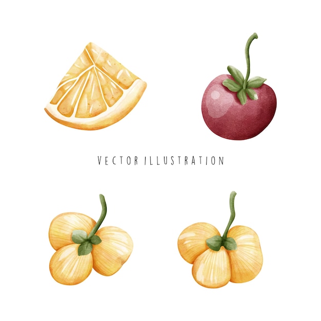 ilustración de acuarela de frutas