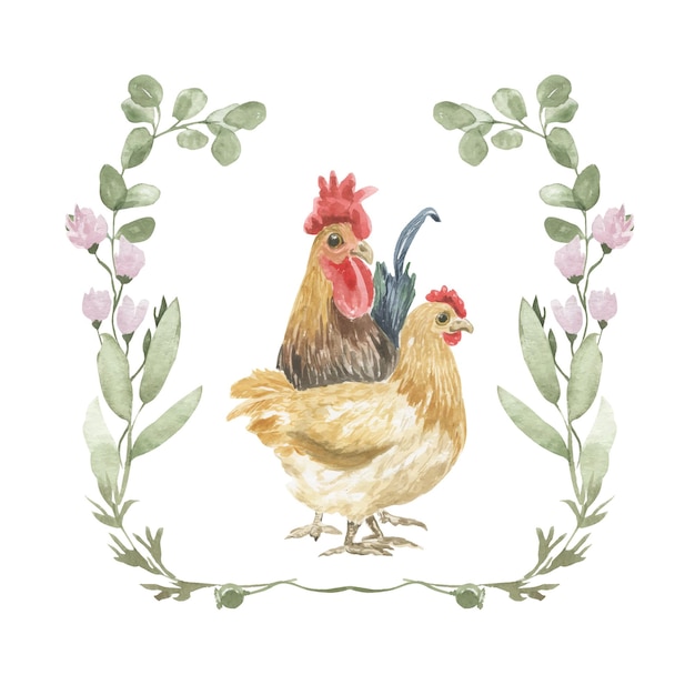 Vector ilustración acuarela de un gallo y una gallina en un marco de planta de campo