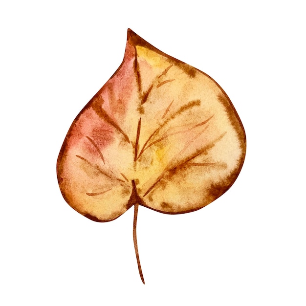 Ilustración acuarela de hoja de otoño