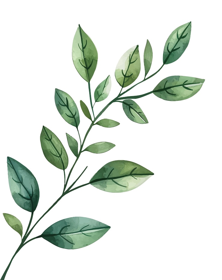 Vector ilustración en acuarela de hojas del tronco de un árbol