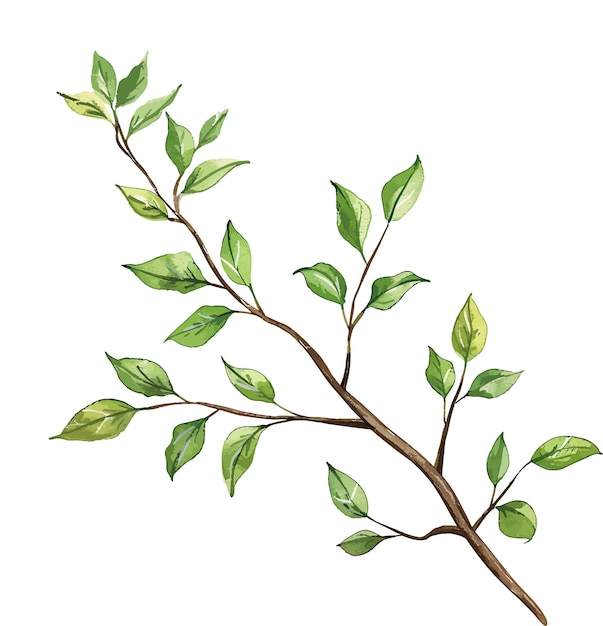 Ilustración en acuarela de hojas del tronco de un árbol
