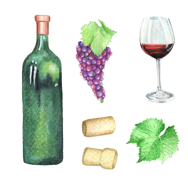 Vector ilustración acuarela de imágenes prediseñadas de uvas de vino