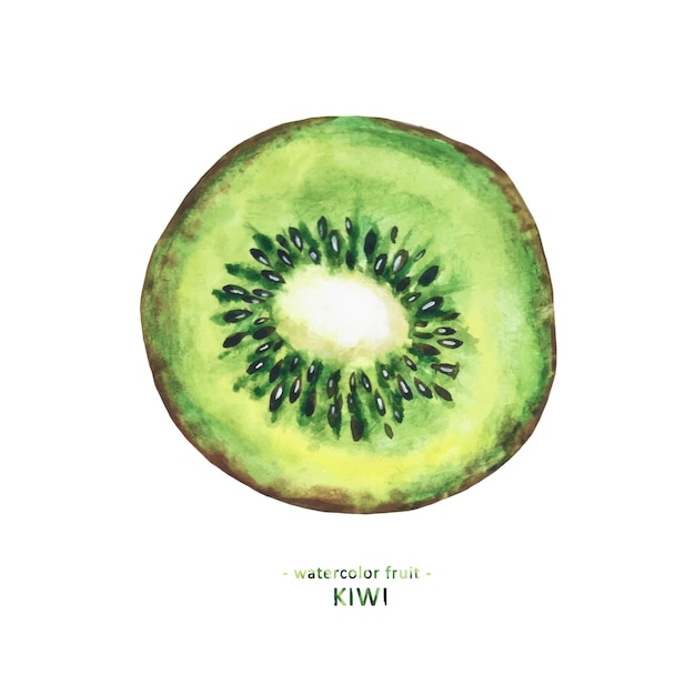 Ilustración acuarela de kiwi