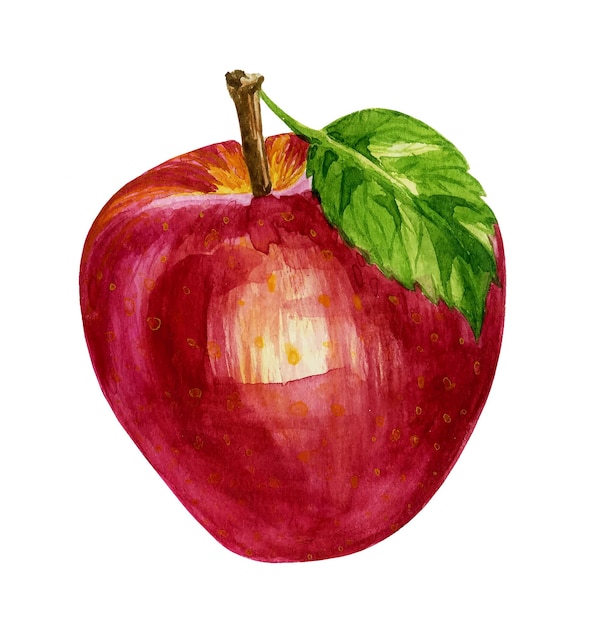 Ilustración acuarela de manzana roja madura con hoja