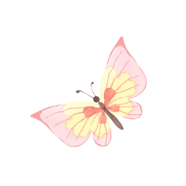 Ilustración de acuarela de mariposa para niños