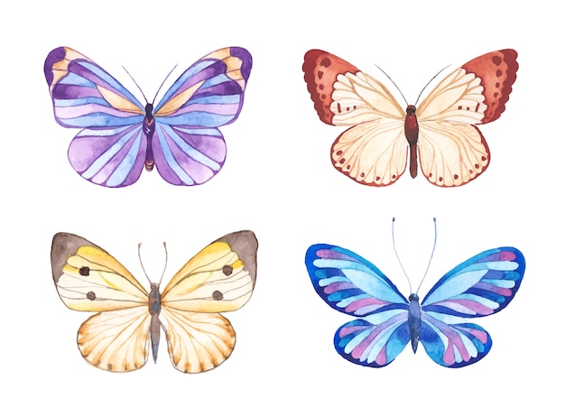 Ilustración acuarela de mariposas