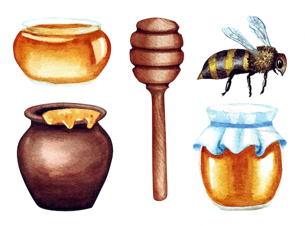 Ilustración acuarela de miel en maceta y jarra, gotero, abeja, aislado en blanco.