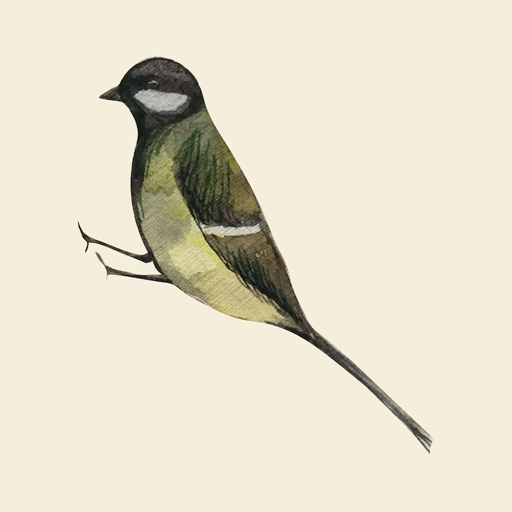 Vector ilustración de acuarela con un pájaro azul