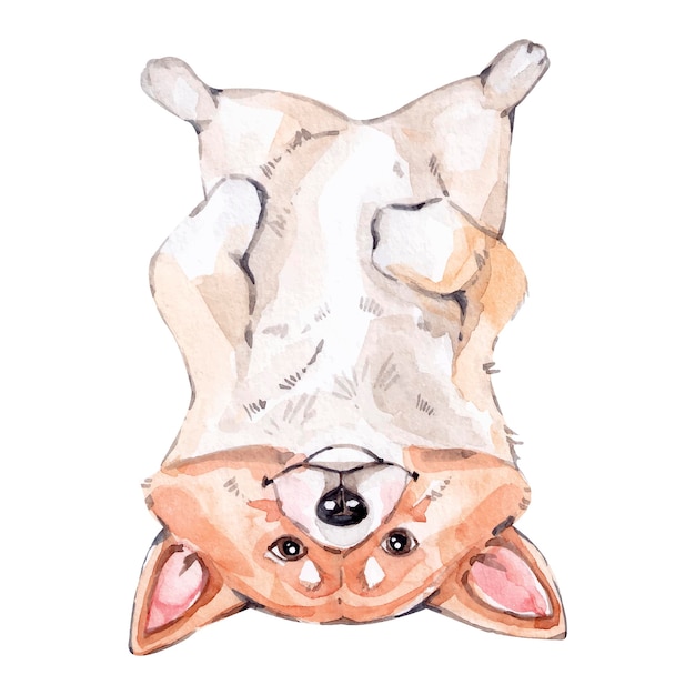 Ilustración acuarela de perro Corgi