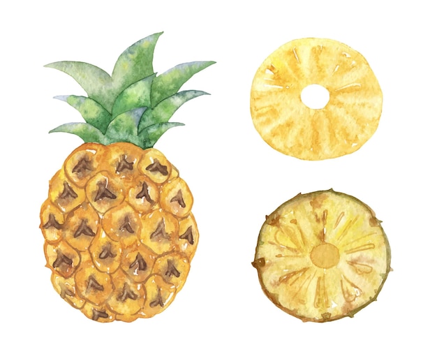 Ilustración de acuarela de piña jugosa de verano dibujada a mano