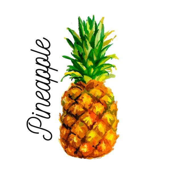 Ilustración acuarela de piña. . Sin transparencia Gradientes