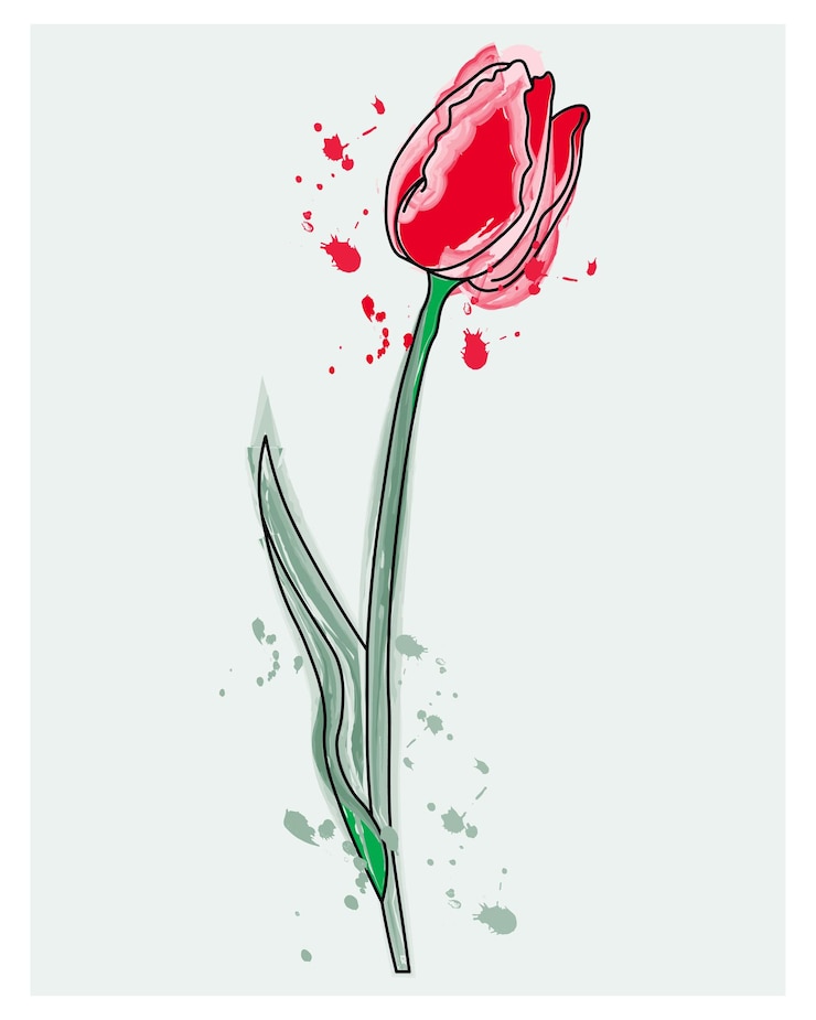 Vector ilustración de acuarela pintada de tulipán rojo sobre un tallo sobre un fondo con salpicaduras de acuarela
