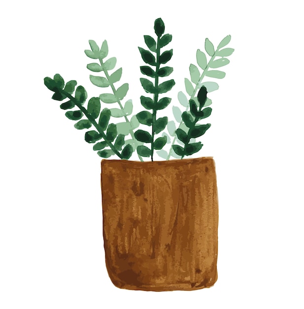 Ilustración acuarela de la planta de interior zamioculcas zamioculcas acuarela