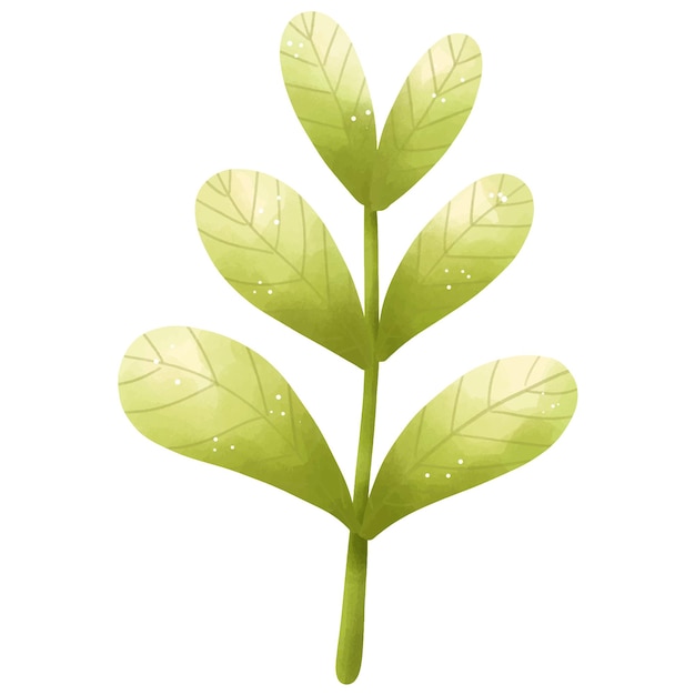 Ilustración en acuarela de una planta verde con hojas