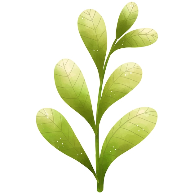 Ilustración en acuarela de una planta verde con varias hojas