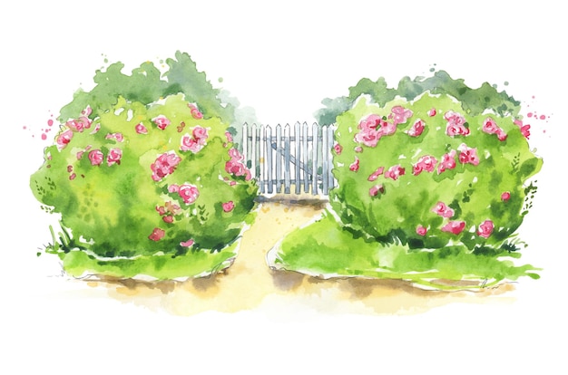 Ilustración acuarela de una puerta de jardín de madera con rosales