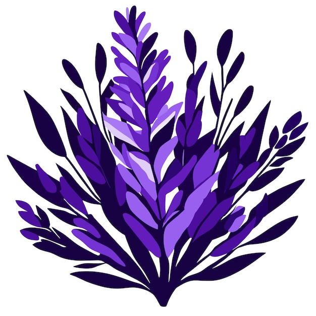 Ilustración en acuarela de un ramo de lavanda