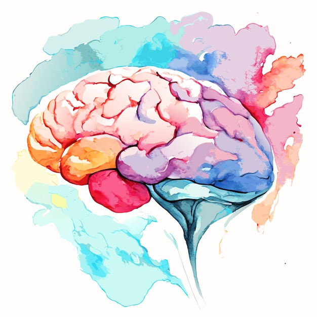 Ilustración acuarela de un vector cerebral