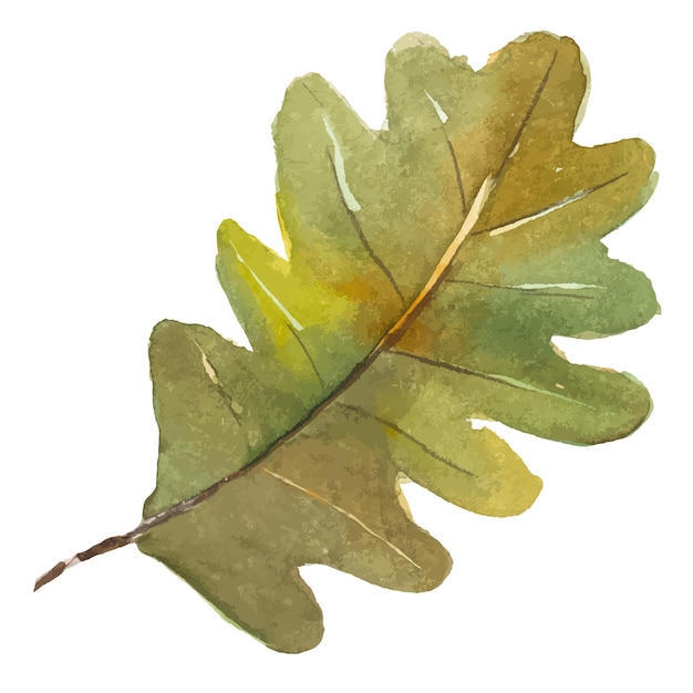 Ilustración de acuarela vectorial abstracta de hojas de otoño Elementos de diseño de naturaleza dibujados a mano aislados sobre fondo blanco