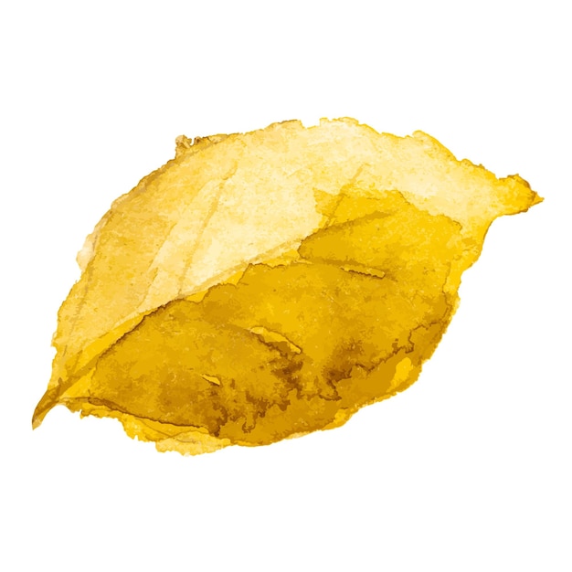 Ilustración de acuarela vectorial abstracta de hojas de otoño Elementos de diseño de naturaleza dibujados a mano aislados sobre fondo blanco