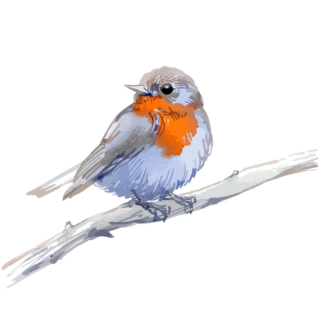Ilustración de acuarela vectorial de currucas de hierba de pájaro de bosque pequeño
