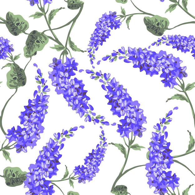 Ilustración en acuarela vectorial de un patrón sin costuras con flores de arbusto de lila