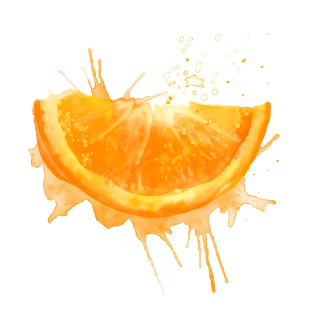 Vector ilustración de acuarela de verano fresco de naranja ilustración aislada sobre un fondo blanco