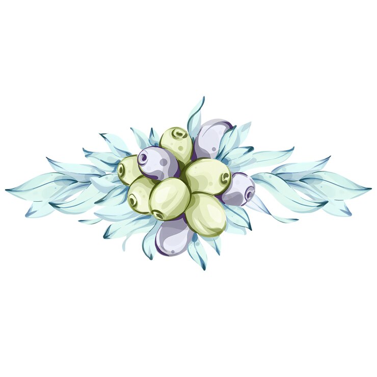 Vector ilustración en acuarela vibrante de aceitunas y aceite de oliva inspirada en la cocina italiana y la naturaleza.