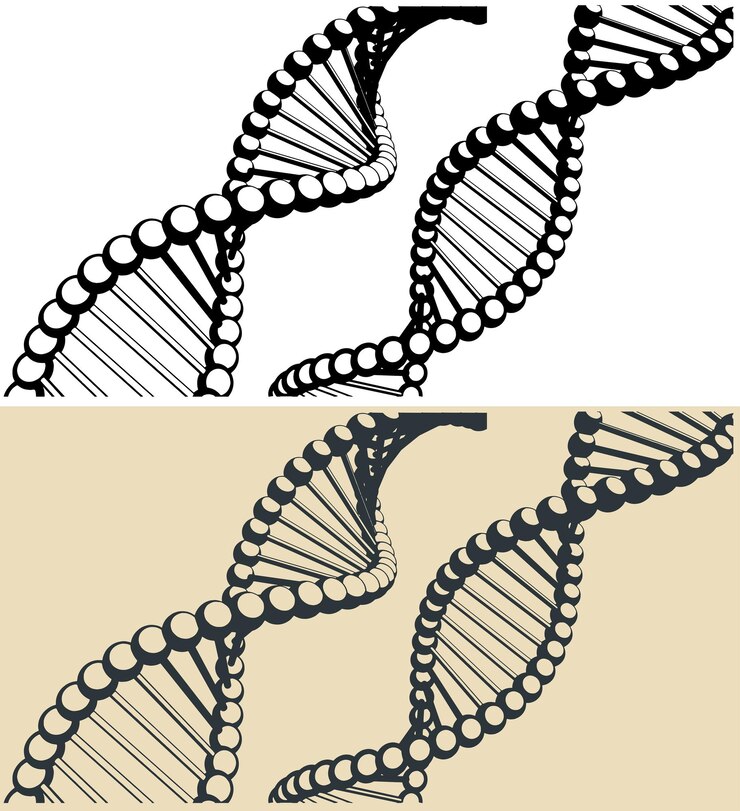 Vector ilustración del adn