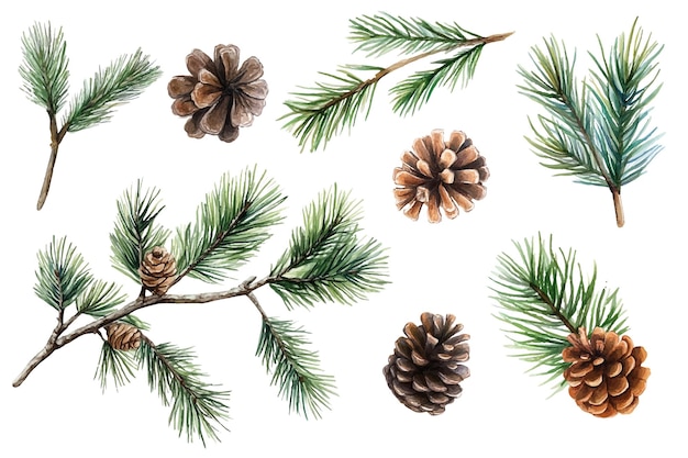 Ilustración de adornos navideños en formas y colores festivos Perfecto para tarjetas de felicitación de decoración navideña y diseños estacionales Añade un toque mágico y alegre a cualquier proyecto