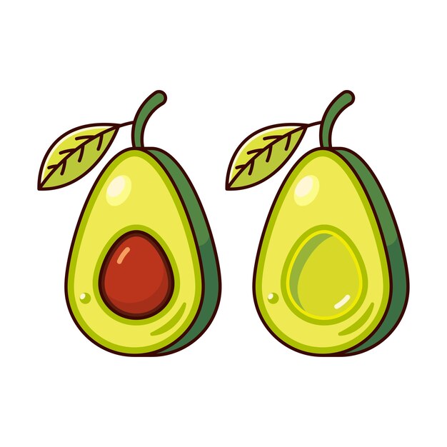 Vector ilustración de aguacate fresco