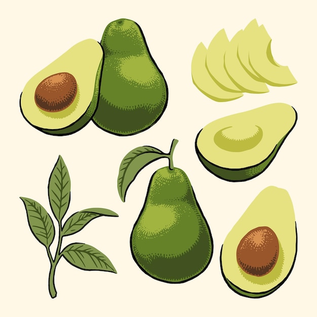 Ilustración de un aguacate