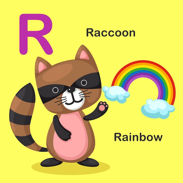 Ilustración aislada del alfabeto animal letra r-rainbow, mapache
