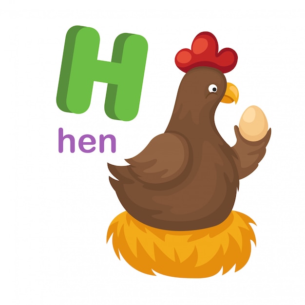 Ilustración aislada del alfabeto letra H gallina