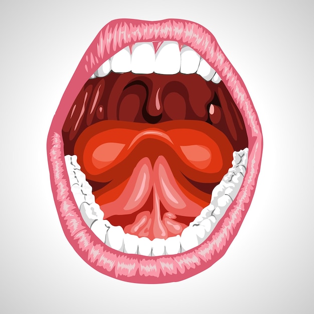 Vector ilustración aislada de boca abierta